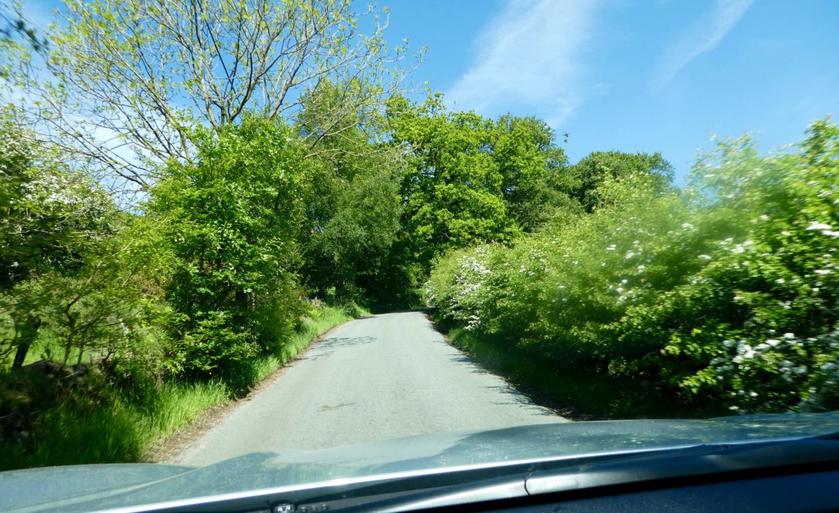 Driving English Country Lanes