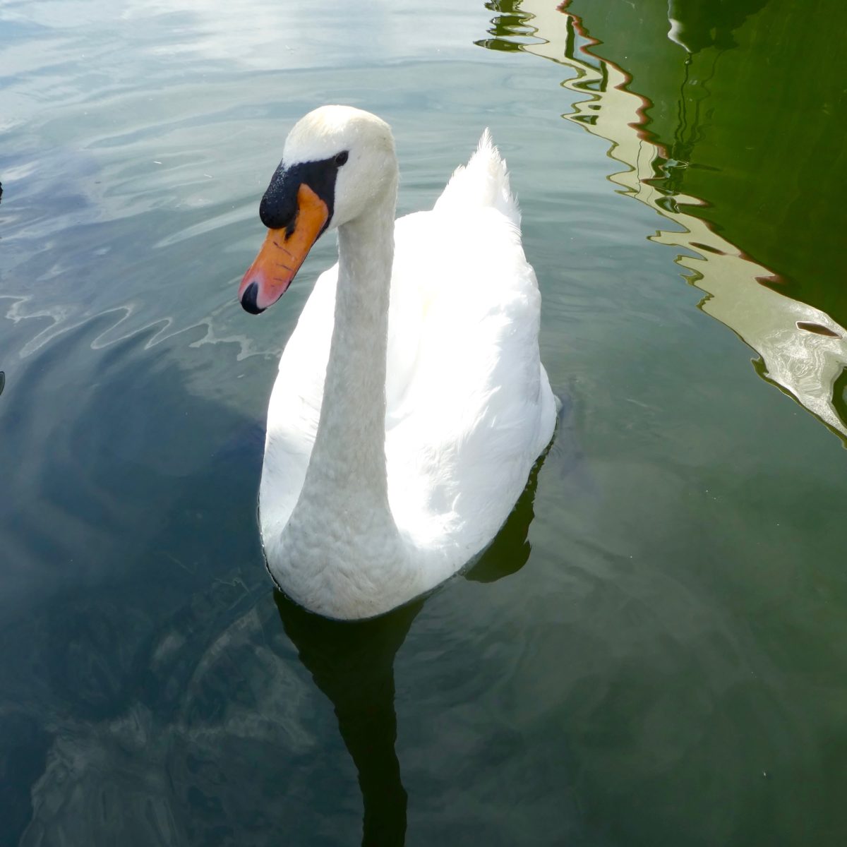 Buying a Dinghy – Part Two: Getting afloat