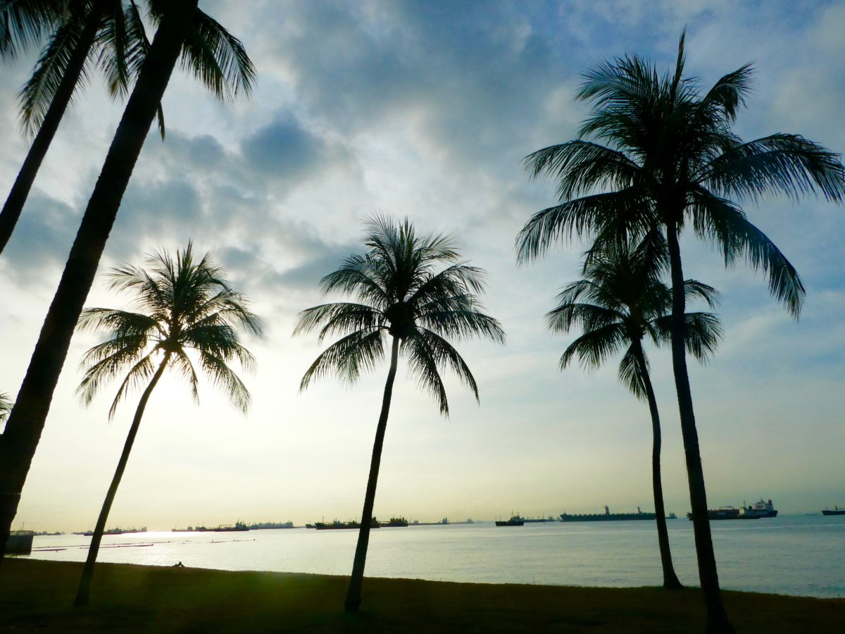 Running East Coast Park, Singapore