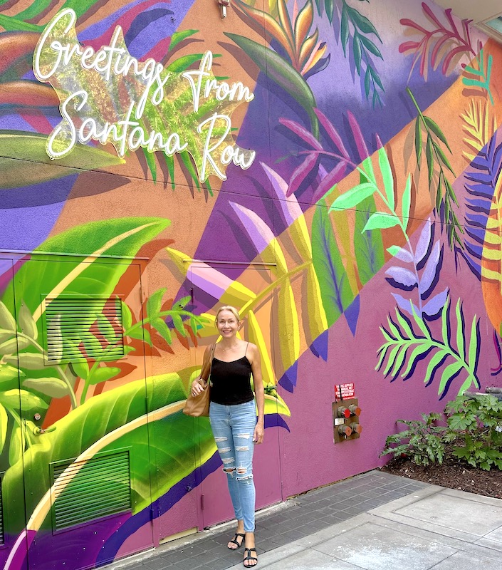 Train to San José, California, May 2025